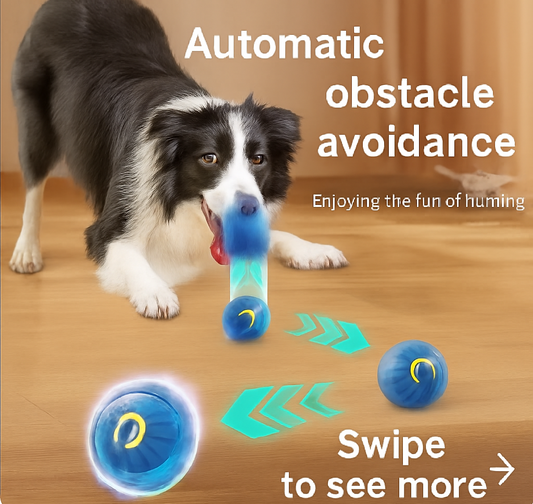 PawBounce™ Smart Motion Pet Ball