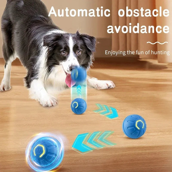 Interactive Pet Play Ball